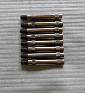 Twin Flapper Check Valve