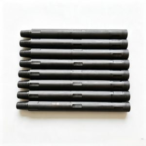 Double Dart Check Valve