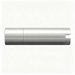 Magnet